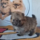 0fa6264a-c596-4bab-ad3c-20ebc3141533___