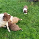 37c3209f-5abd-44e5-b9e0-a0b610380978___