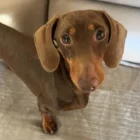 3de98087-f261-41c9-b9a6-a5409c967a03___