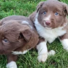 9f02ee19-67c2-4052-9009-70b16959cf53___