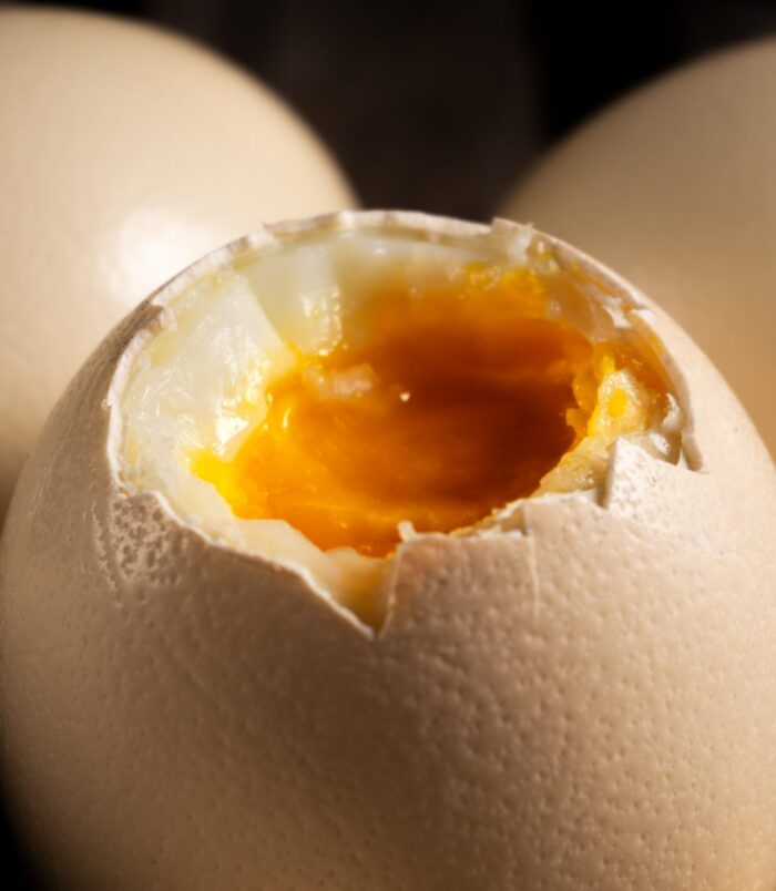 Coquilles_Oeufs_110-2-scaled