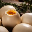 Coquilles_Oeufs_120vf-600x400