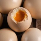 Coquilles_Oeufs_130vf-600x400