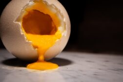 Coquilles Oeufs 170vf scaled 1 Œufs d’Autruche Frais