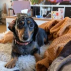 e457846b-868a-4fbe-8790-071409949e01___